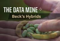 The Data Mine partnership with Beck's