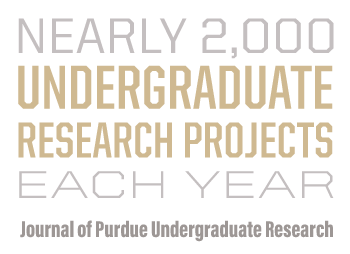 Nearly 2,000 undergraduate research projects each year