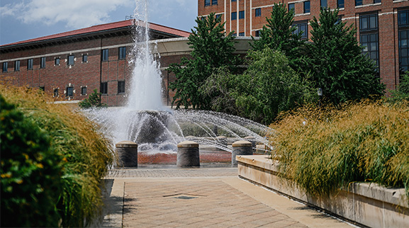 Beering fountain in summer