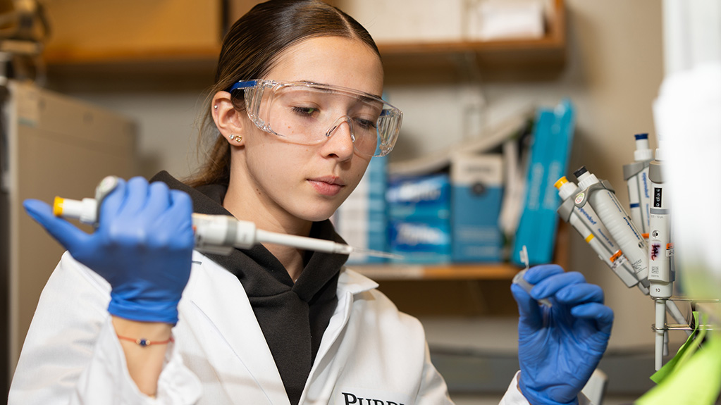 A student works in a laboratory