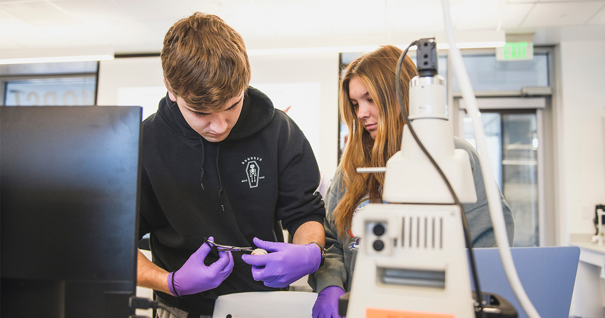 Two students working together in a lab