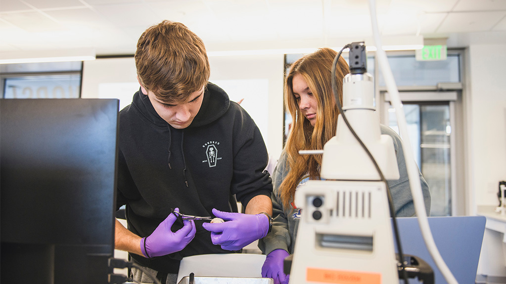 Two students working together in a lab