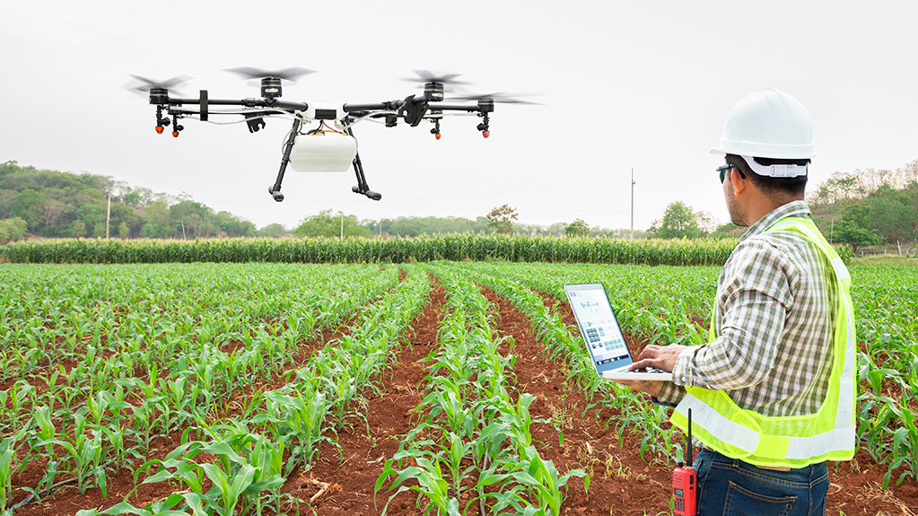 A farm manager uses wifi computer control agriculture drone fly to sprayed fertilizer on corn fields