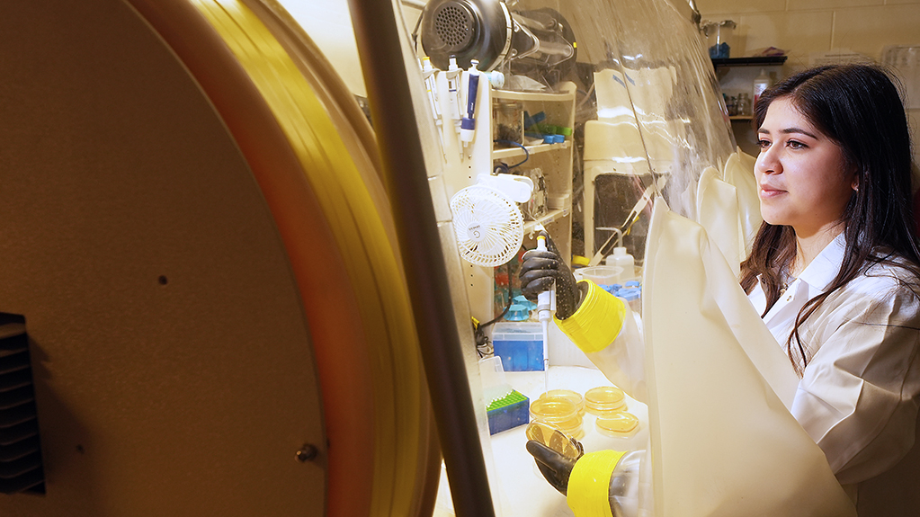 A students works in a lab