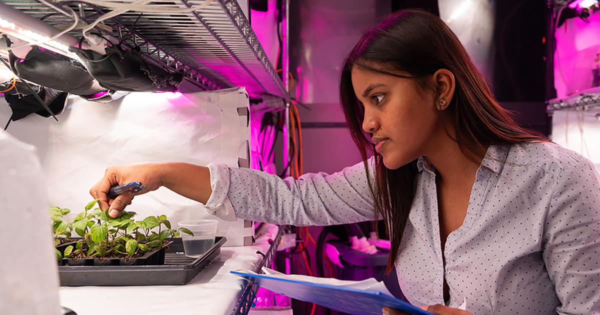 Female student working with plant in an indoor controlled environment.