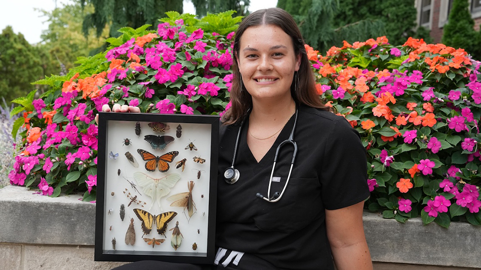 Student sits while holding a display of pinned butterflies and other insects and wearing a stethoscope draped around her neck