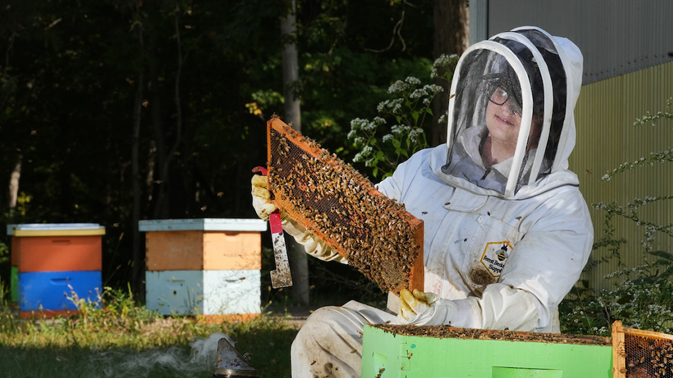 Student wearing beekeeping suit while holding a frame with bees and honeycomb in front of beehives