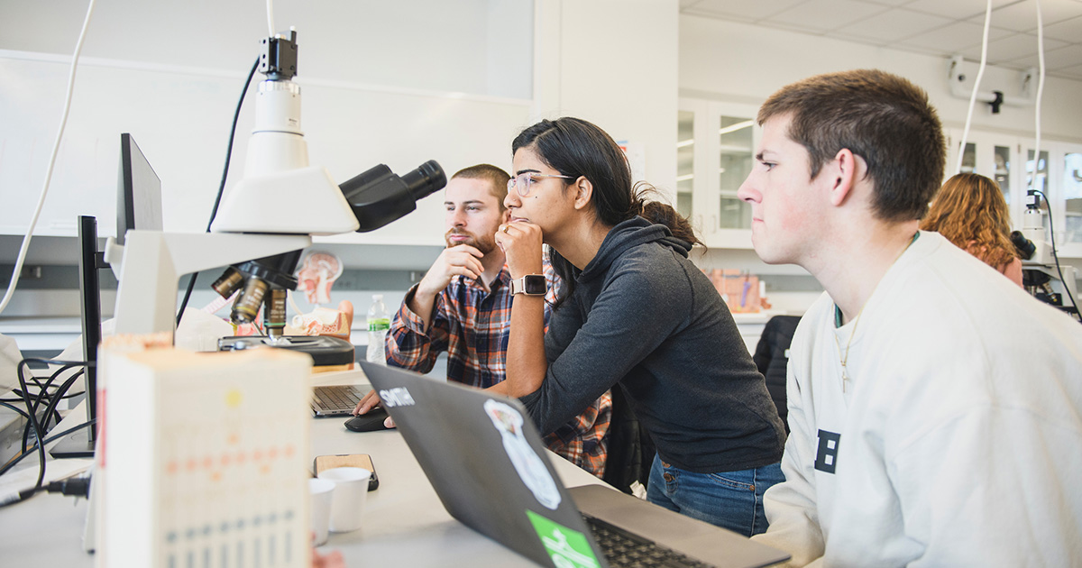 Students in class looking at information together