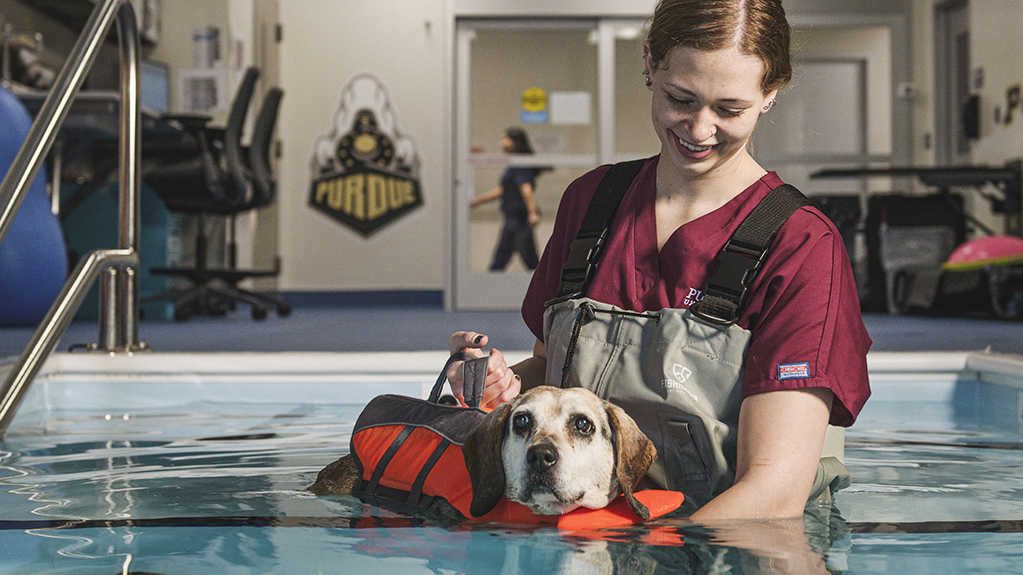 A woman in scrubs supports a dog in a lifejacket while the dog does water-based physical therapy exercises