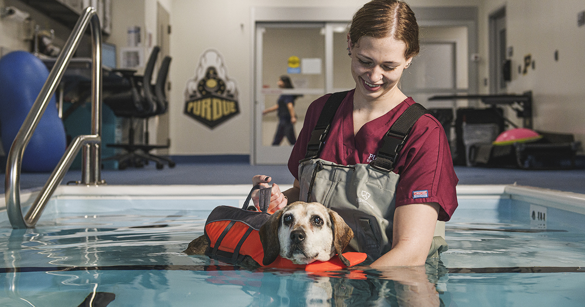 A woman in scrubs supports a dog in a lifejacket while the dog does water-based physical therapy exercises