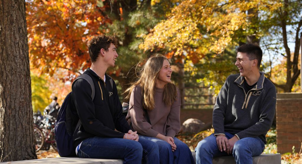 Students sit together outdoors on campus in autumn, talking and laughing on a stone bench with colorful fall trees in the background.
