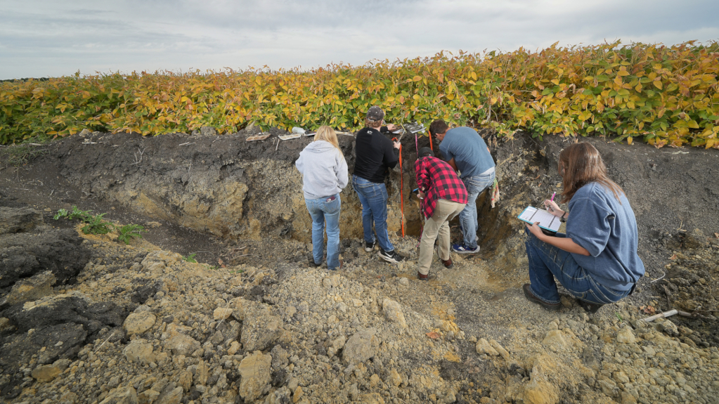 Students examine a soil pit in a field, measuring and recording layers for analysis. 