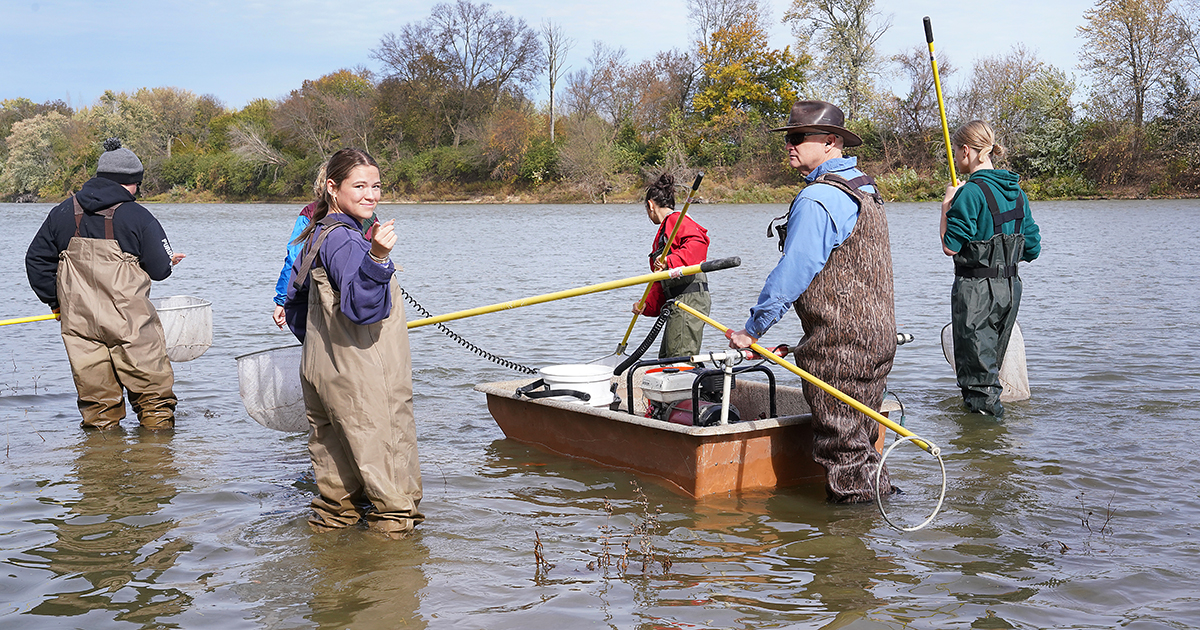 A group of people wearing waders stand in a river with nets and poles, working around a small boat as part of a fish research activity.