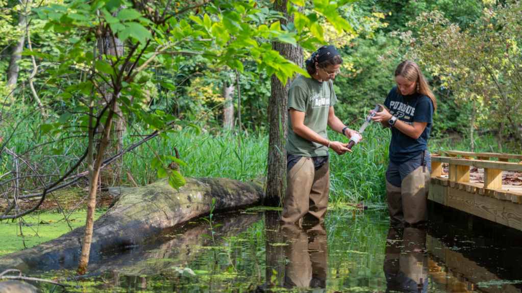 Two people in waders stand in a creek collecting a water sample for research. 