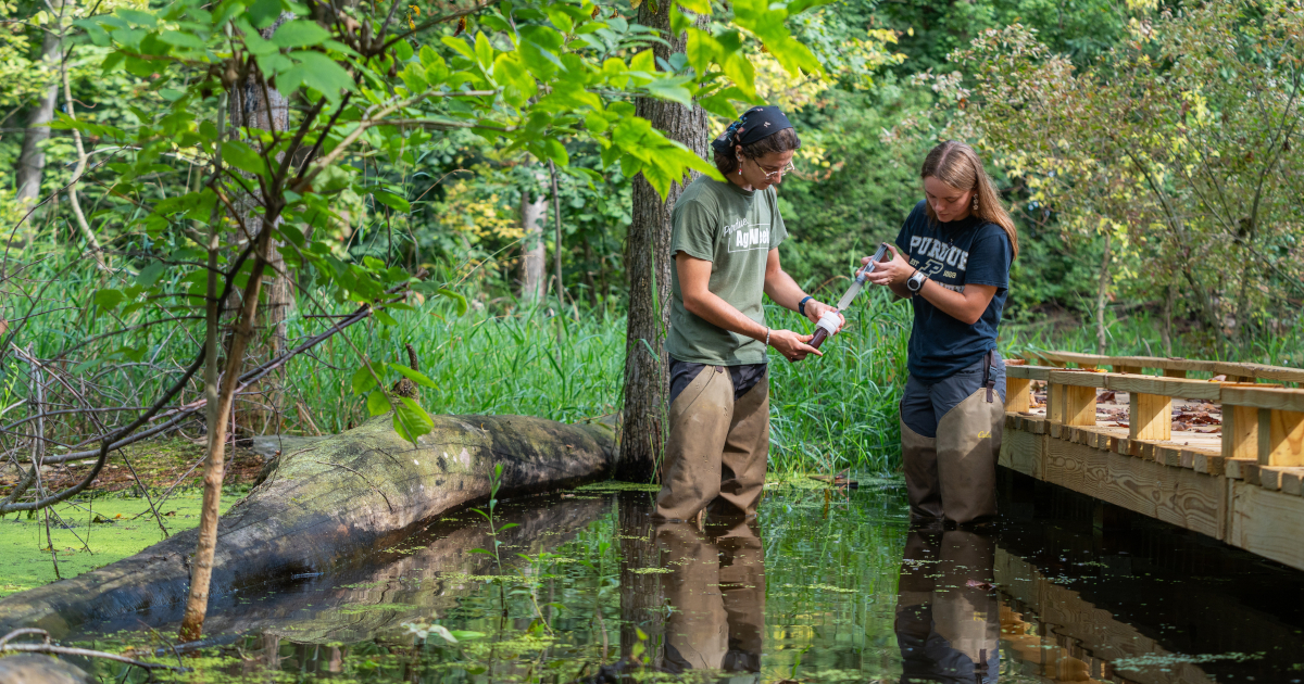 Two people in waders stand in a creek collecting a water sample for research.