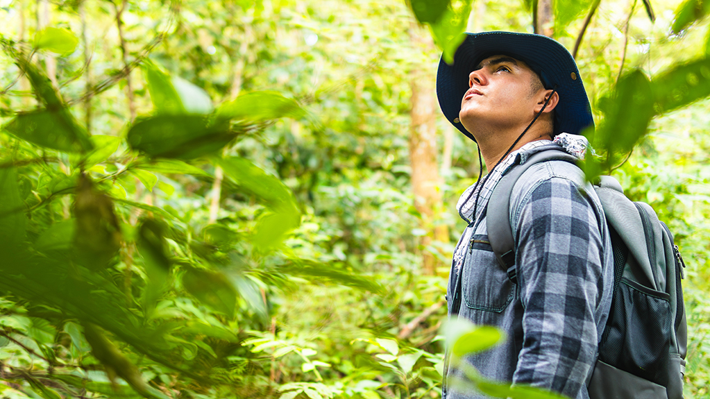 A student looks up at wildlife in the forest