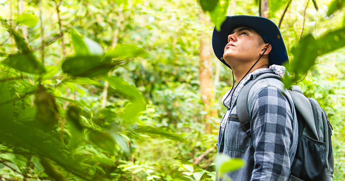 A student looks up at wildlife in the forest