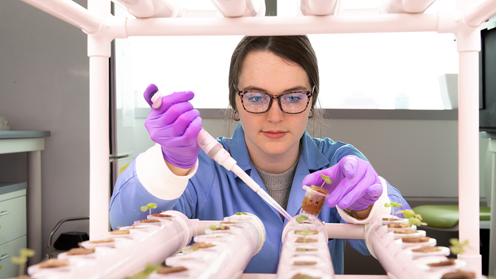 A student works with plant seedlings in a laboratory greenhouse