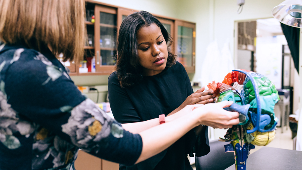 A student studies a model of a brain with a teacher