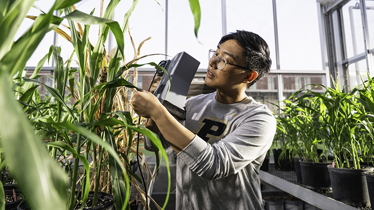 A student conducts research in a greenhouse.
