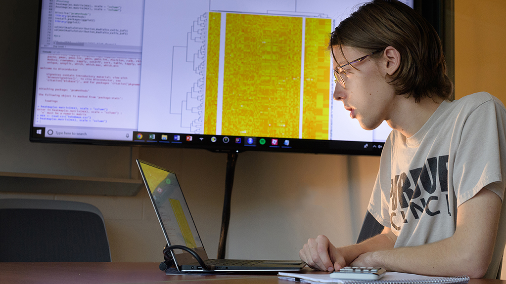 An undergraduate student completes data analysis